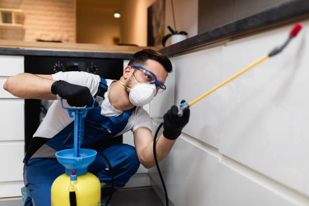 Best Affordable Pest Control Services  in Ranchester, WY