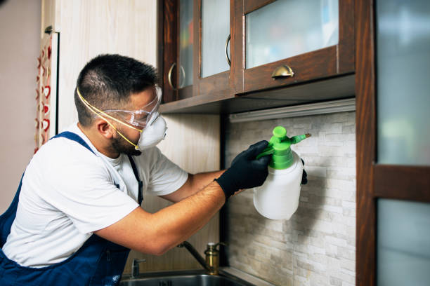 Best Pest Prevention Services  in Ranchester, WY