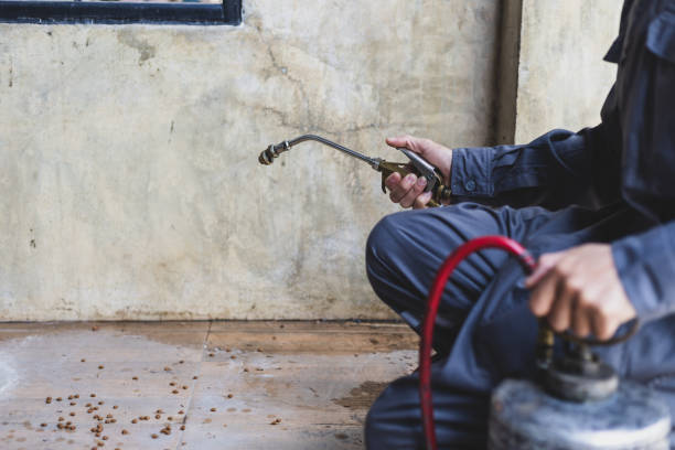 Best Termite Control Services  in Ranchester, WY